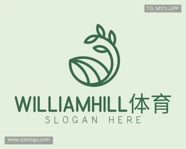 解读WilliamHill体育